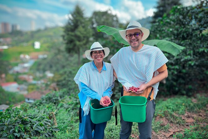 Half-Day Coffee Tour at Family Farm Close to Medellín - Scenic Transportation and Surroundings