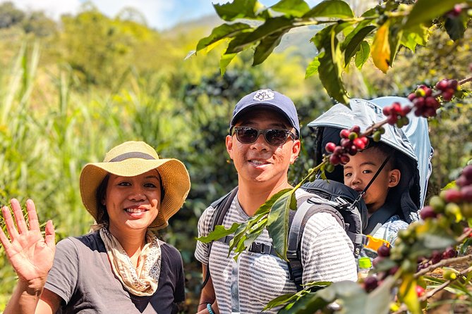 Half-Day Coffee Tour in Medellín: From the Seed to the Cup - Traveler Recommendations and Feedback