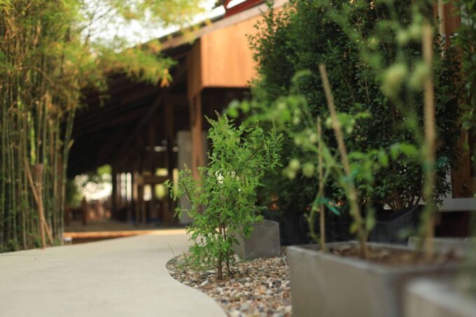 HALF DAY COOKING COURSE at The Rice Barn Thai Cooking Farm - Frequently Asked Questions
