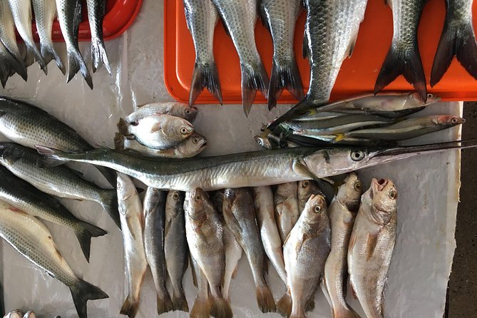 Half-Day Cooking Experience by the Pacific Ocean - Preparing the Causa Limena