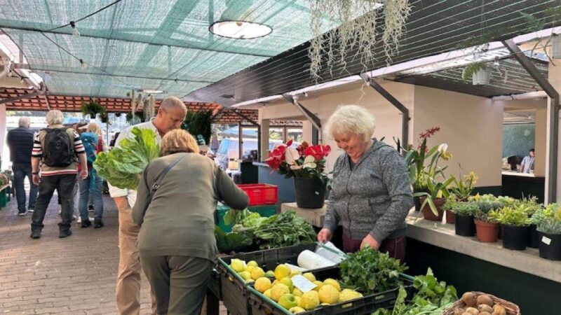 Half-Day Country Market Tour on Madeira Island - Key Points