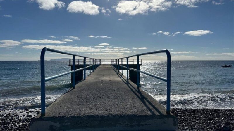 Half-Day Country Market Tour on Madeira Island - Experience Highlights