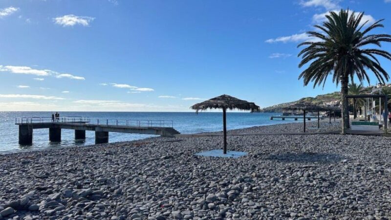 Half-Day Country Market Tour on Madeira Island - Inclusions
