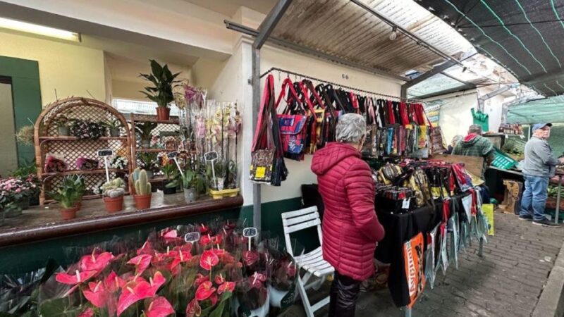 Half-Day Country Market Tour on Madeira Island - Pickup and Drop-off Locations