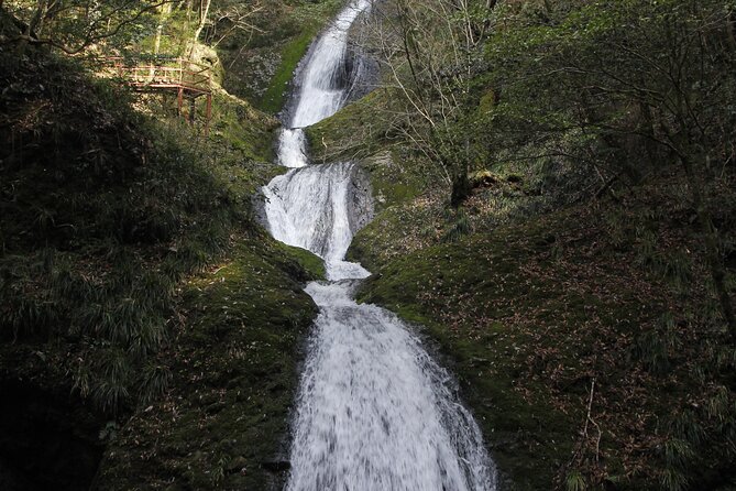 Half Day Countryside Tour in Shinshiro Japan - Tour Schedule and Details