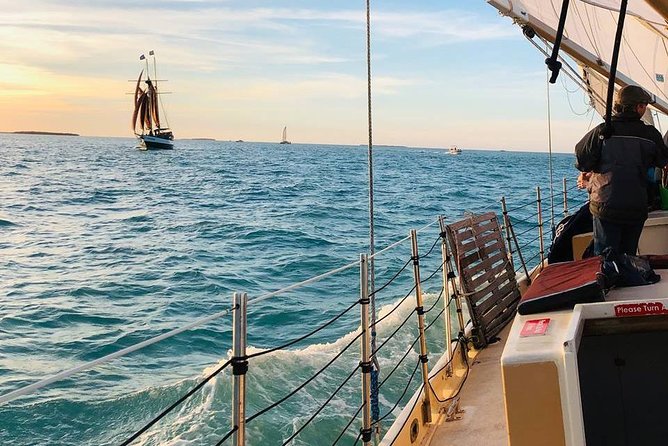 Half-Day Cruise From Key West With Kayaking and Snorkeling - Positive Reviews