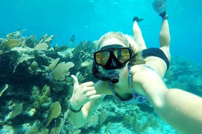 Half-Day Cruise From Key West With Kayaking and Snorkeling - Booking Details