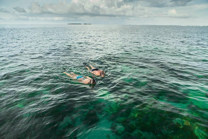 Half-Day Cruise From Key West With Kayaking and Snorkeling - Snorkeling Experience