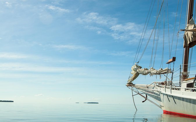 Half-Day Cruise From Key West With Kayaking and Snorkeling - Professional Crew