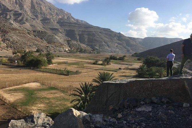 Half Day Cruise & Half Day Mountain Safari With Picnic Lunch (Shore Excursion) - Mountain Safari Adventure