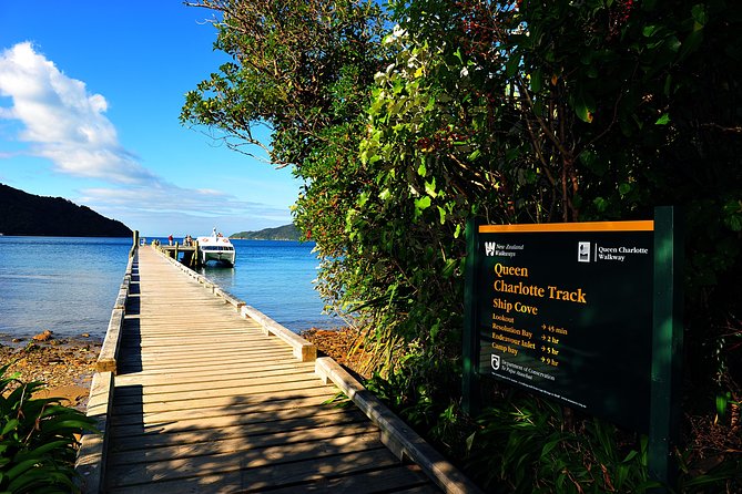 Half-Day Cruise in Marlborough Sounds From Picton - Guest Reviews and Feedback