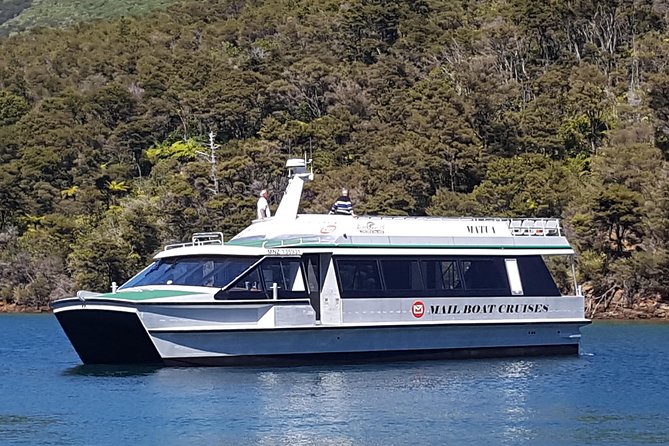Half-Day Cruise in Marlborough Sounds From Picton - Preparing for the Cruise