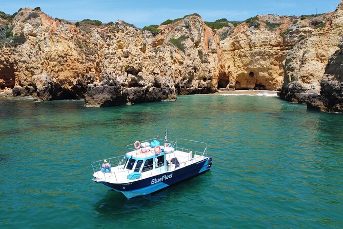 Half Day Cruise to Ponta Da Piedade With Lunch and Drinks - Accessibility and Dietary Accommodations