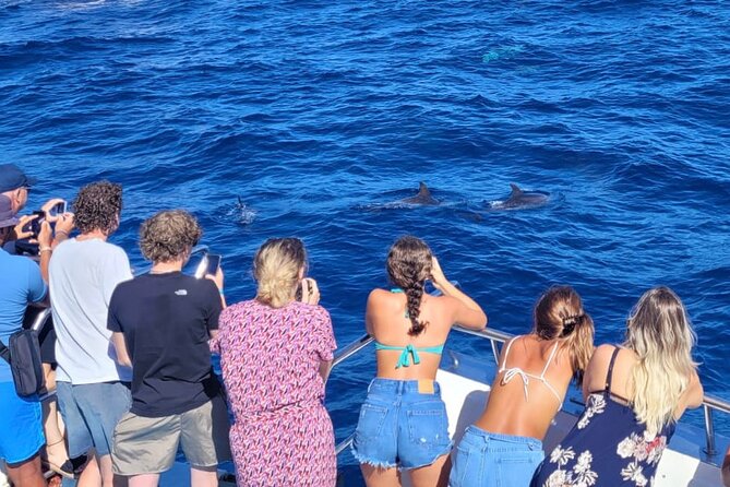 Half-Day Cruise Tour-Dolphin and Whale Watching - Inclusions