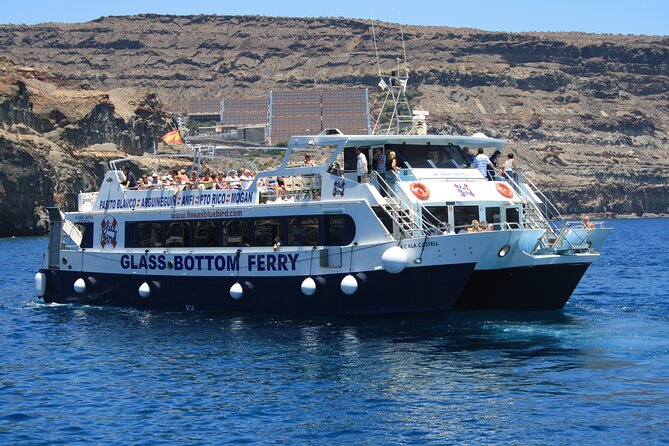 Half-Day Cruise Tour-Dolphin and Whale Watching - Duration and Schedule