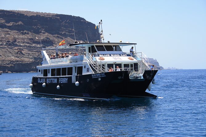 Half-Day Cruise Tour-Dolphin and Whale Watching - Booking and Cancellation