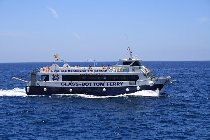 Half-Day Cruise Tour-Dolphin and Whale Watching - Safety and Environment