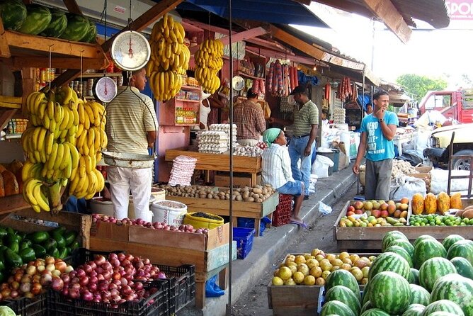 Half-Day Cultural Safari Tour From Cap Cana - Meeting and Pickup Logistics
