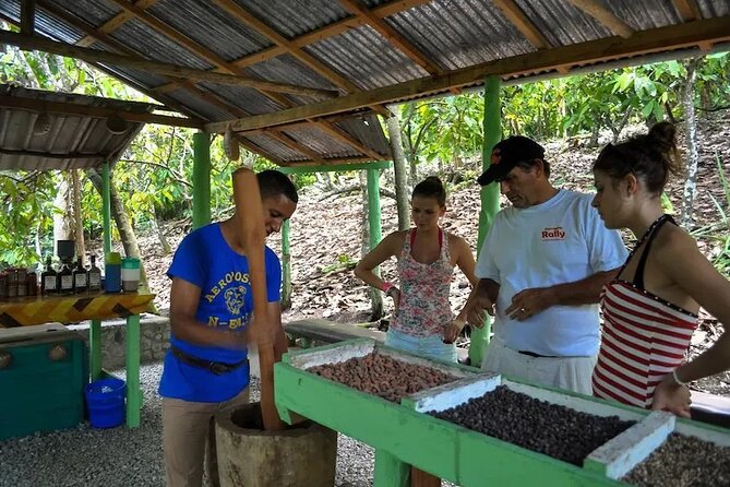 Half-Day Cultural Safari Tour From Cap Cana - Immersive Safari Experience