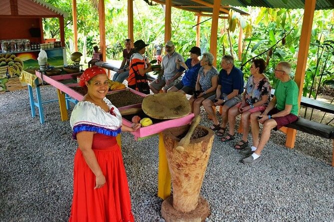 Half-Day Cultural Safari Tour From Punta Cana - Pickup and Schedule