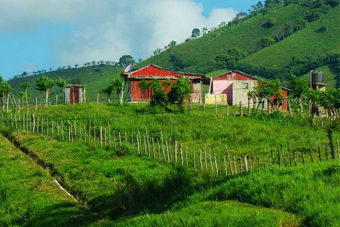 Half-Day Cultural Safari Tour From Uvero Alto - Transportation Provided