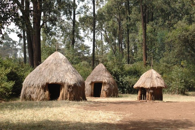 Half-Day Cultural Tour to Bomas of Kenya in Nairobi - Ethnic Group Representations