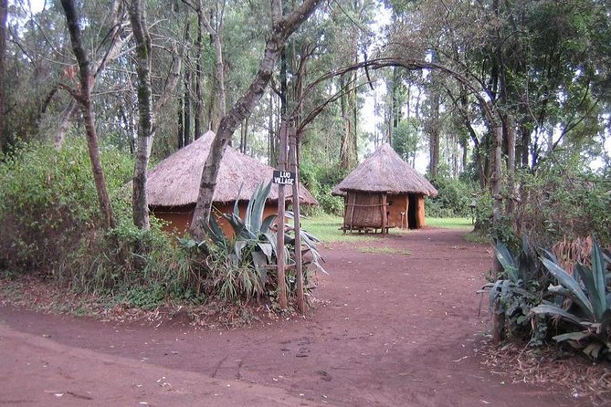 Half-Day Cultural Tour to Bomas of Kenya in Nairobi - Pricing and Group Size