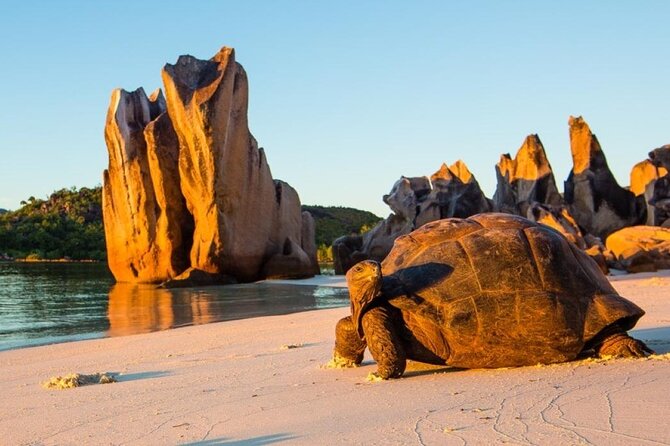 Half Day Curieuse and St Pierre Island Seychelles - Booking and Cancellation Policy