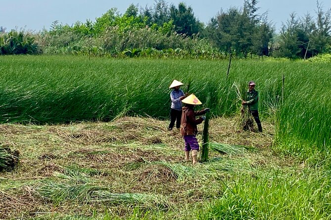Half Day Cycling Adventure- a Hoi an Rural Life Experience - Key Points