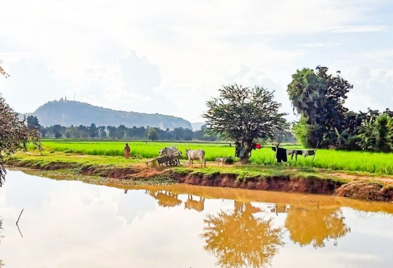 Half-day Cycling: Explore Battambang Countryside & Sunset - Important Information