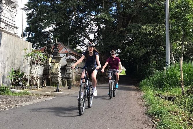 Half Day Cycling Tour - Tour Requirements