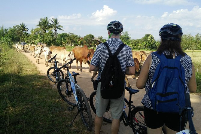 Half Day Cycling Tour to the White Temple - Scenic Route Highlights