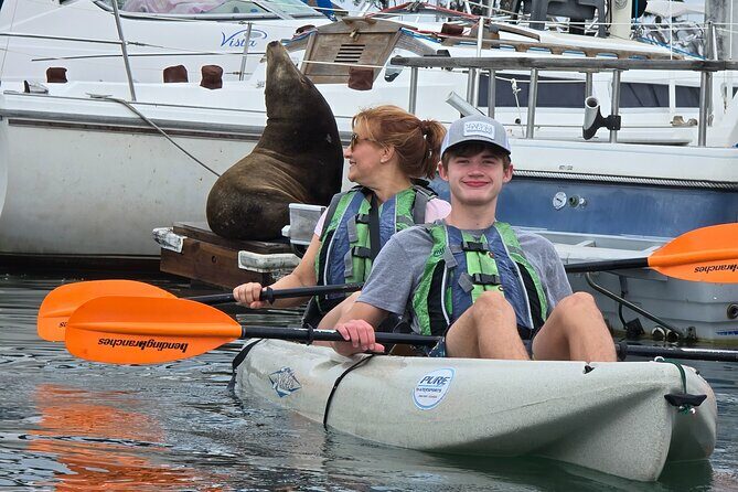 Half Day Dana Point Kayak and Hike - Key Points