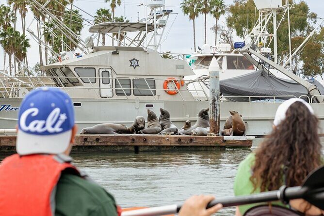 Half Day Dana Point Kayak and Hike - Practical Tips for Participants