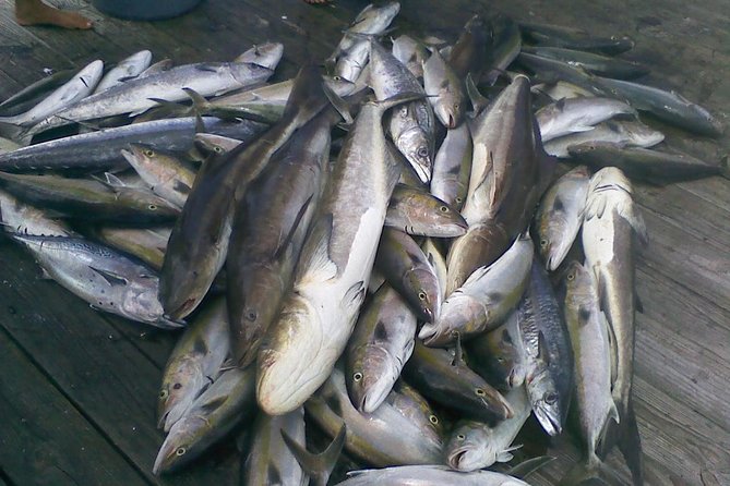 Half-Day Deep-Sea Fishing at Riviera Beach - Feedback From Satisfied Customers