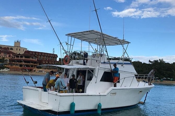 Half-Day Deep Sea Fishing Excursion Departing Sosua - Accessibility Information