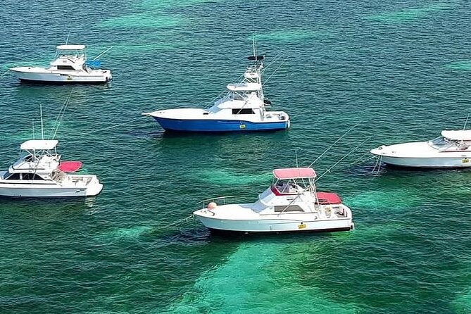 Half Day Deep Sea Fishing Tour From Punta Cana - About Your Stay