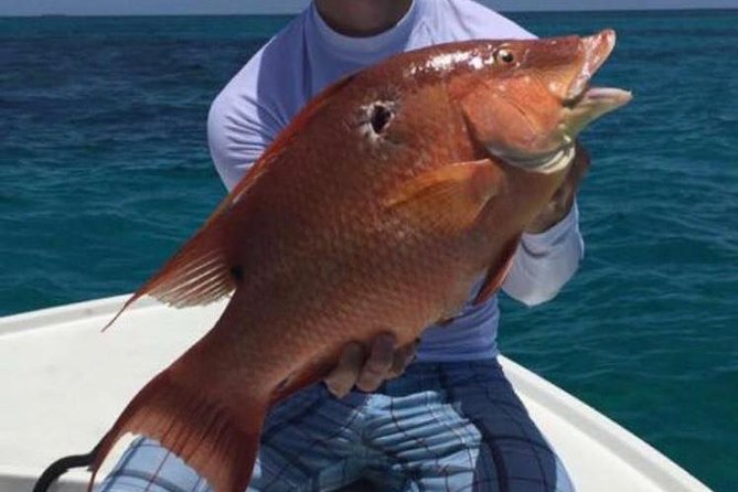 Half Day Deep Sea/Light Tackle Fishing Charters - Customer Reviews and Feedback
