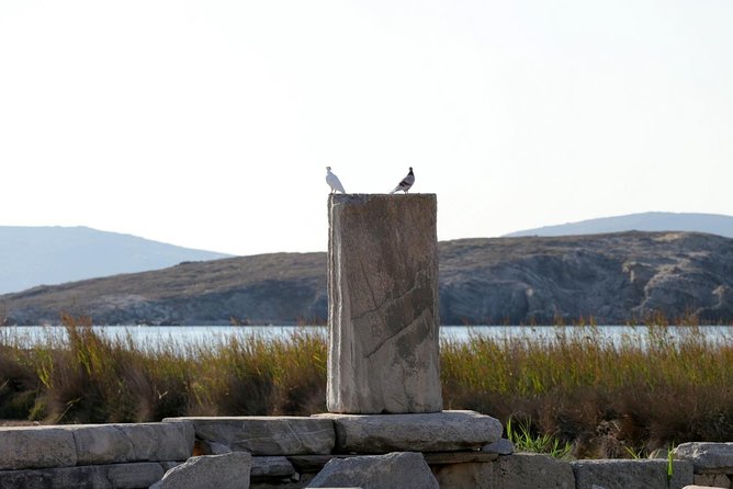 Half-Day Delos Tour From Mykonos - Exploring Ancient Delos