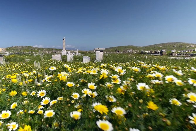 Half-Day Delos Tour From Mykonos - Key Sites to Discover