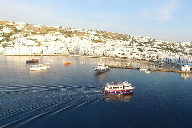 Half Day Delos Tour of Mykonos From the Cruise Ship Port - Meeting and Check-in