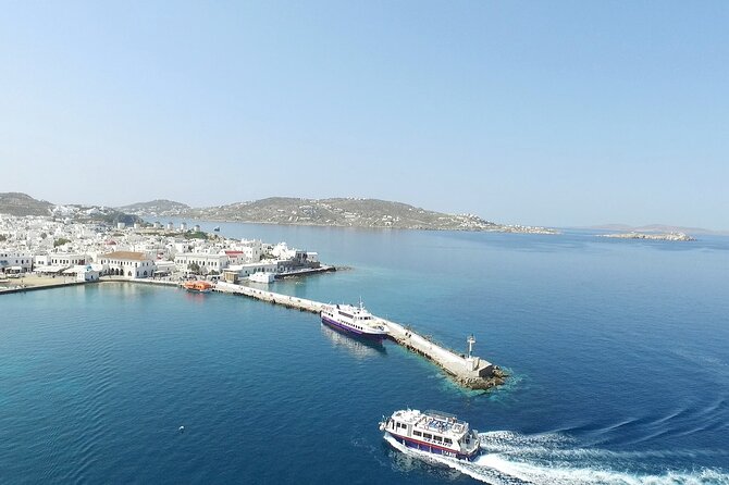Half Day Delos Tour of Mykonos From the Cruise Ship Port - Accessibility and Limitations