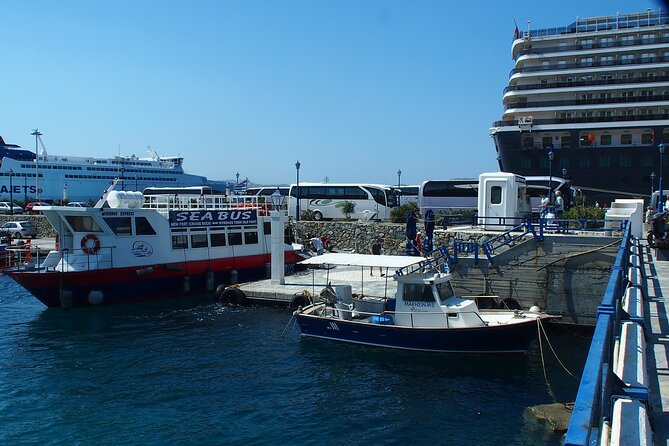 Half Day Delos Tour of Mykonos From the Cruise Ship Port - Tour Inclusions