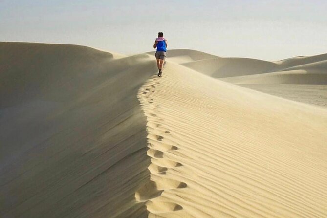 Half Day Desert Safari and Inland Sea With Sand Boarding - Dune Bashing Adventure