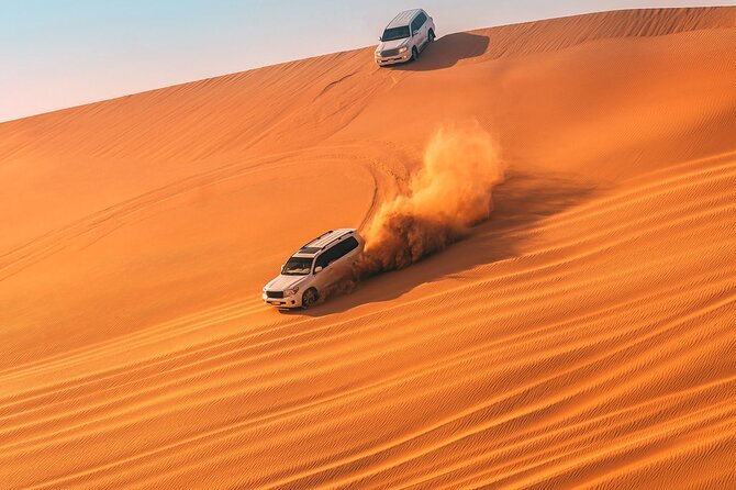 Half-Day Desert Safari Private Tour in Abu Dhabi - Pickup and Drop-off Details