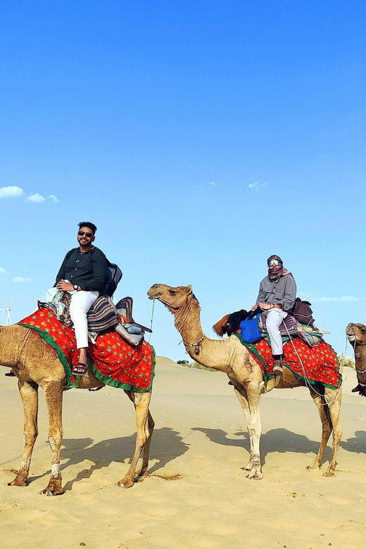 Half Day Desert Safari With Camel Ride & Dinner - Itinerary and Experience