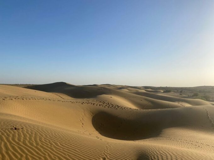 Half Day Desert Safari With Camel Ride & Dinner - Transportation and Pickup