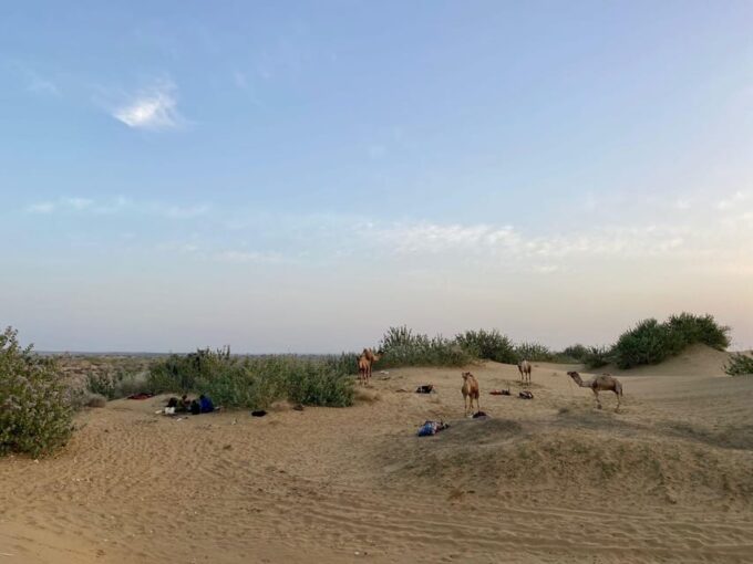 Half Day Desert Safari With Camel Ride & Dinner - Frequently Asked Questions