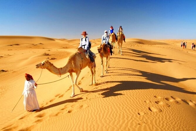 Half Day Desert Safari With Pickup From Doha Port/Airport /Hotels - Confirmation and Accessibility