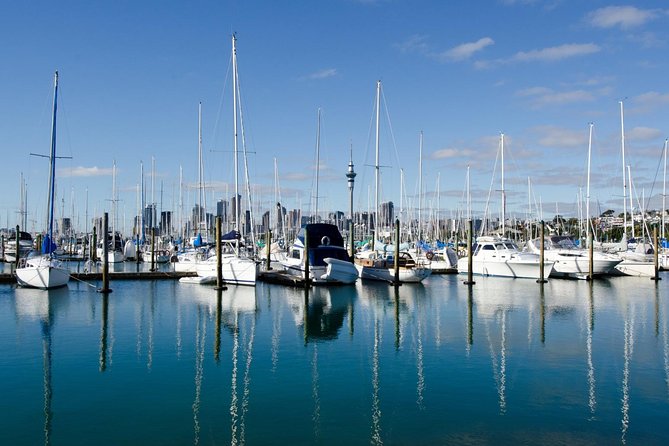 Half-day Discover Auckland City Sightseeing Tour - Suitable for All Visitors